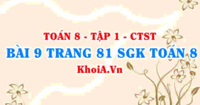 Bài 9 trang 81 SGK Toán 8 Tập 1 Chân trời sáng tạo